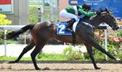 Griffin at his sole victory last February when ridden by champion jockey Joao Moreira.<br>Photo by Singapore Turf Club